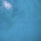 parti profile picture leakfans.com