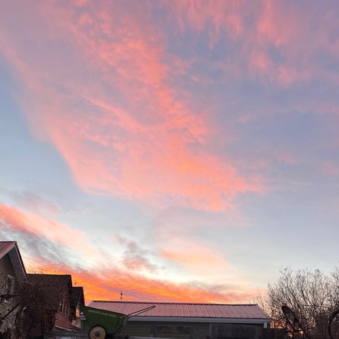 pattywap header picture leakfans.com