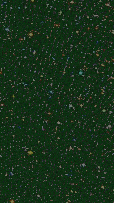 paula_phanelia header picture leakfans.com