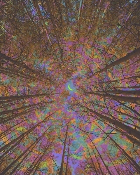 pcassshhh header picture leakfans.com