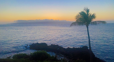 peach.scones header picture leakfans.com