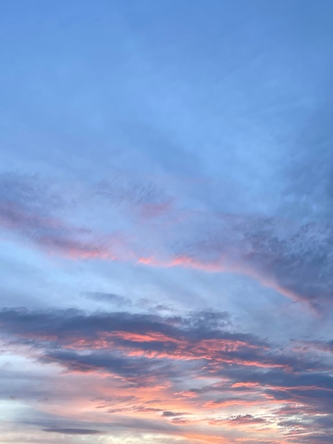 peachbrownii header picture leakfans.com