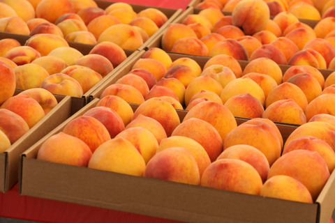 peachiesgirl header picture leakfans.com