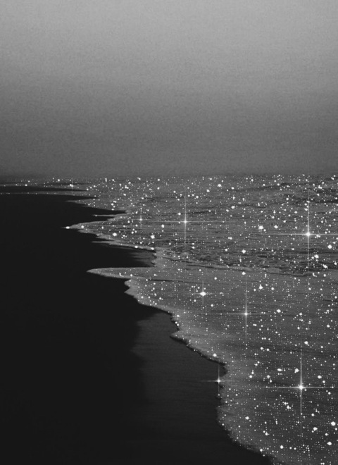 peachyplum header picture leakfans.com