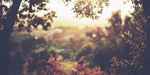 peanutpixie header picture leakfans.com