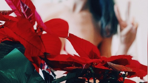 pearlsugar header picture leakfans.com