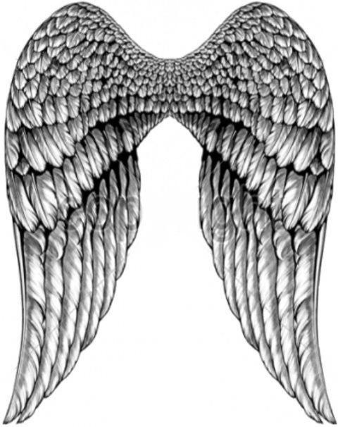 pearlxoxo1 header picture leakfans.com