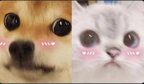 peiix.os header picture leakfans.com