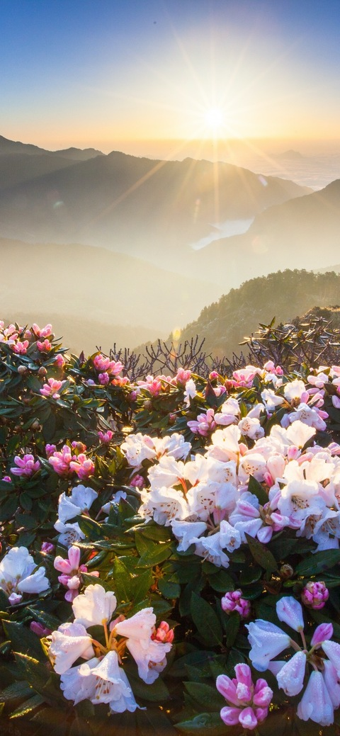 penelopcc header picture leakfans.com