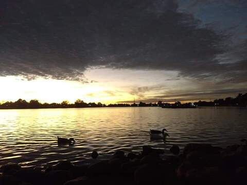 penisvg header picture leakfans.com