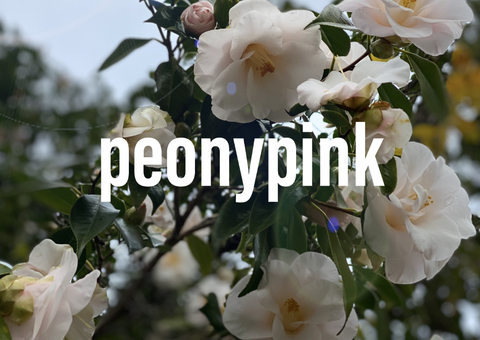 peonypinkfree header picture leakfans.com