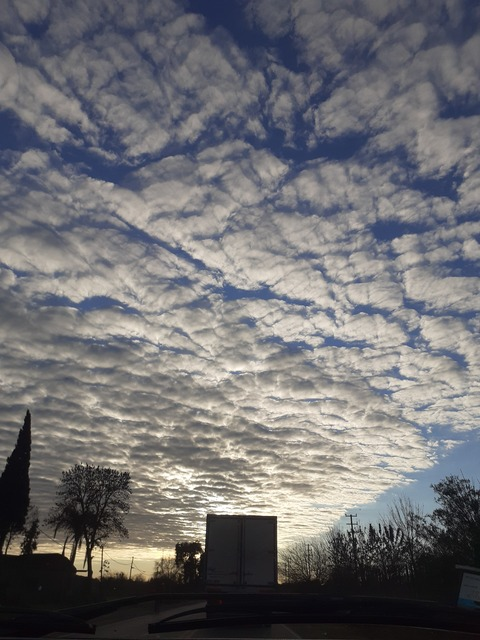 pepiss1 header picture leakfans.com