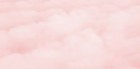 Header of perkyandpink2