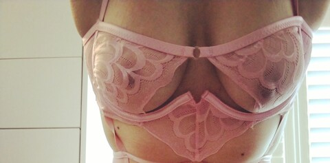 petal.xo header picture leakfans.com