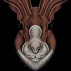 peterrabbit profile picture