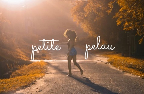 Header of petitepelau