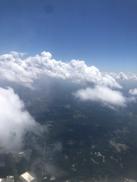 pettyrose header picture leakfans.com