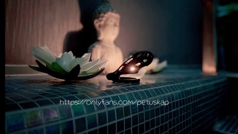 petuskap header picture leakfans.com