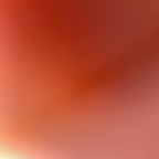 phantasmsix profile picture leakfans.com