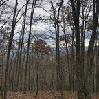 phantomofthecockera profile picture leakfans.com