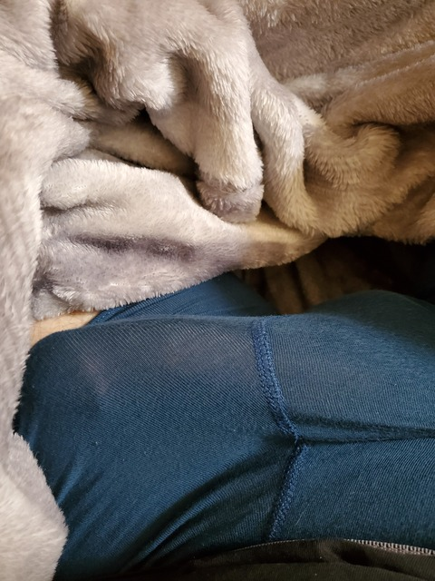 phillm header picture leakfans.com