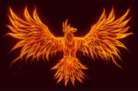 Header of phoenixblaizes