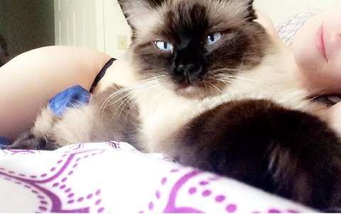 phoenixyosunnn header picture leakfans.com