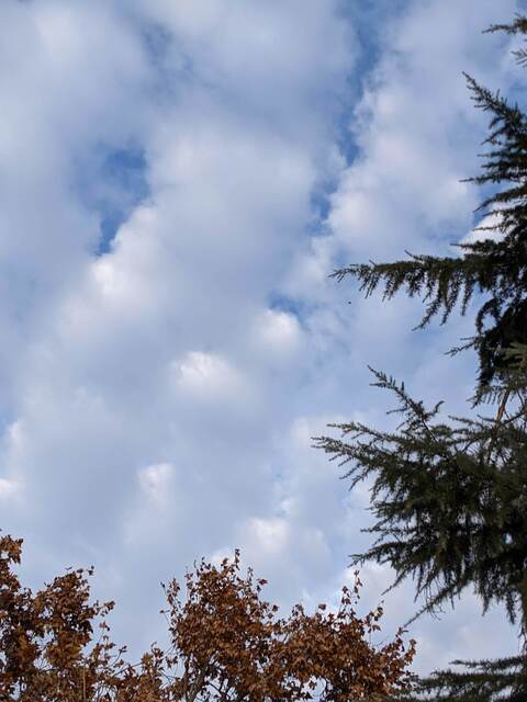 photobomb90 header picture leakfans.com