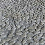 phreadnews profile picture leakfans.com