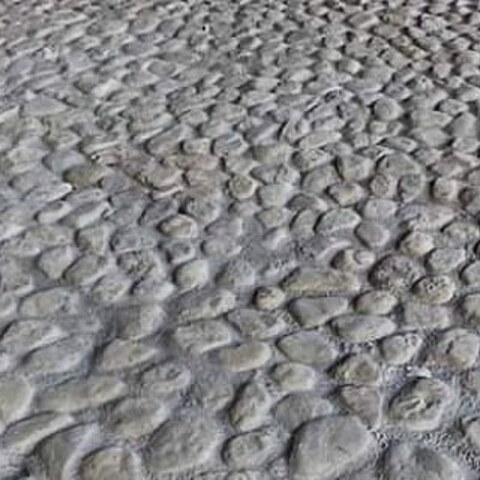 phreadnews header picture leakfans.com