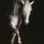 phstudio profile picture leakfans.com