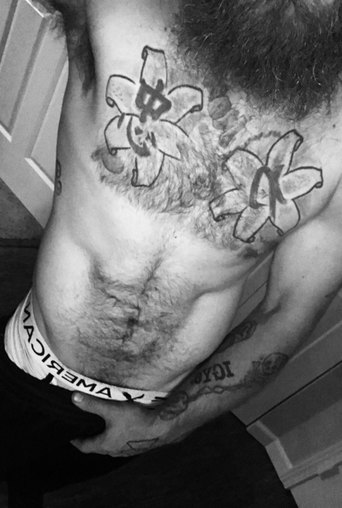 pi4ate header picture leakfans.com