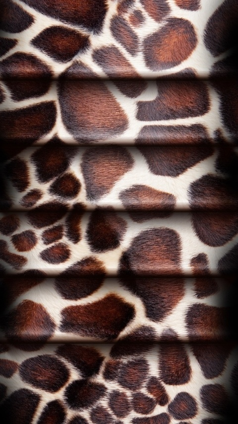 picazzo header picture leakfans.com