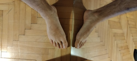 Header of piedepeloso_hairyfeet