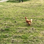 pierce profile picture leakfans.com