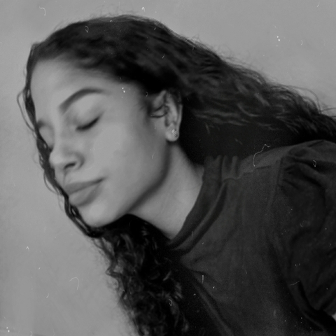 pierinaloor header picture leakfans.com