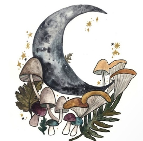 pineapplebratt79 header picture leakfans.com