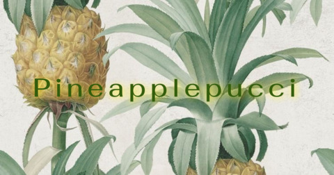Header of pineapplepucci
