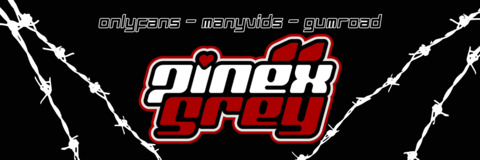 Header of pinexxgrey