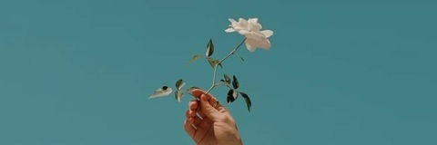 pink08 header picture leakfans.com