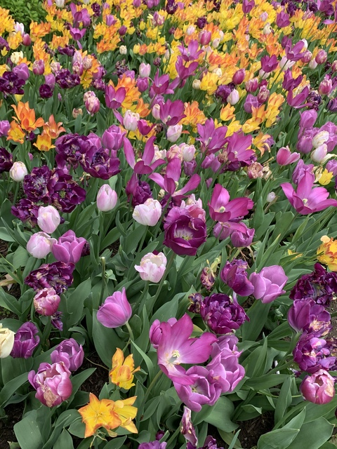 pinkerbell666 header picture leakfans.com