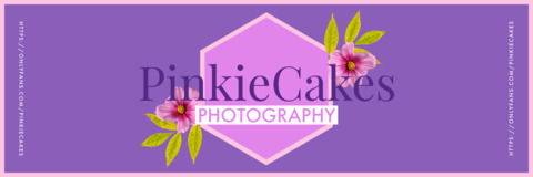 Header of pinkiecakes