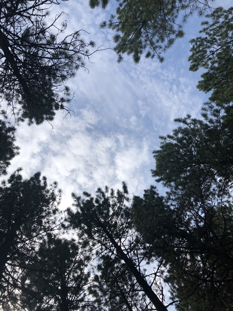 pinkkittenpaws header picture leakfans.com