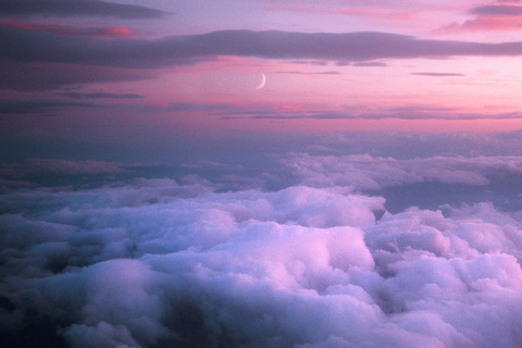 pinkybooty header picture leakfans.com