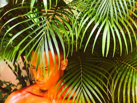 pisandreams header picture leakfans.com