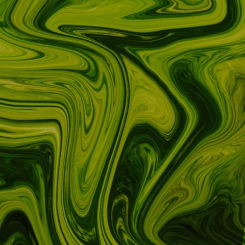 pixieslvt header picture leakfans.com