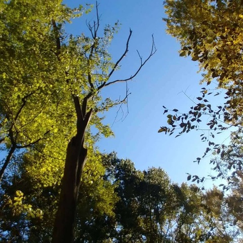 plantbasedbisexual header picture leakfans.com