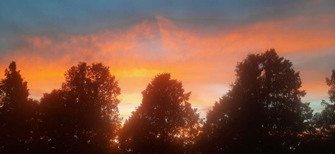 playful_megs header picture leakfans.com