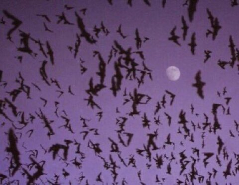 playgh0ulie header picture leakfans.com