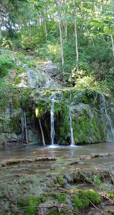 poisonivy2020 header picture leakfans.com